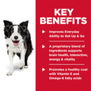 Key benefits