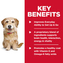 Key benefits