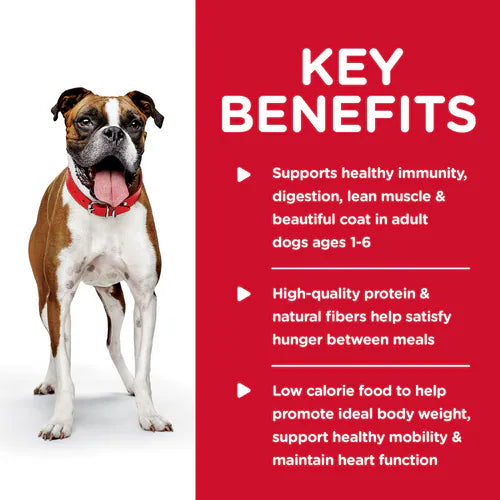 Key benefits