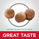 Large kibble product picture