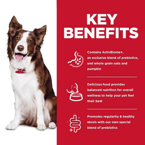 Key benefits