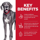 key benefits