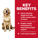 Key benefits