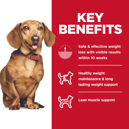 Key Benefits