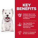 Key Benefits