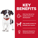Key benefits