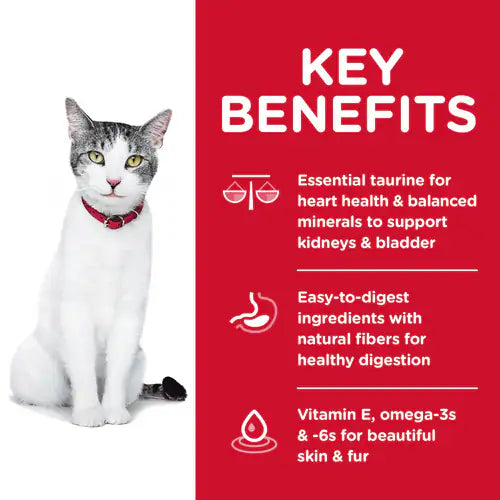 key benefits