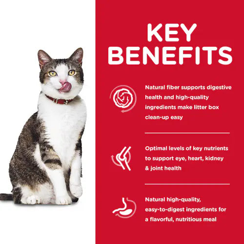 Key benefits