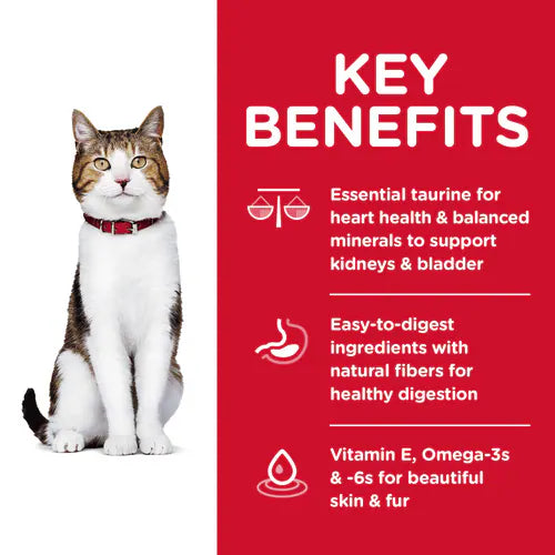 Key benefits