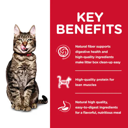 Key benefits