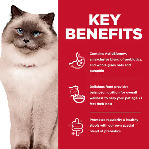 Key benefits