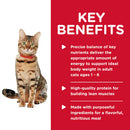 Key benefits