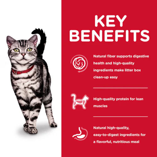 Key benefits