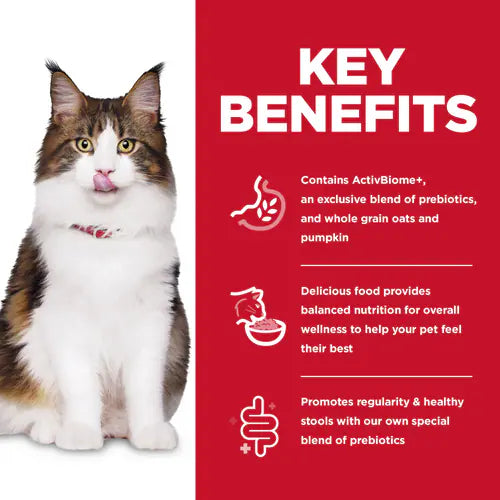 Key benefits