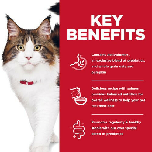 Key benefits