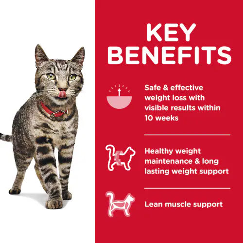 Key benefits