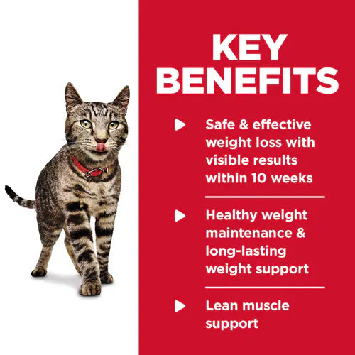 Key benefits