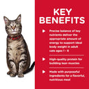 Key benefits