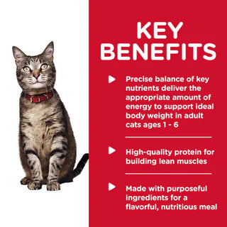 Key benefits