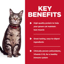 Key benefits