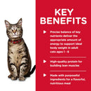 Key benefits