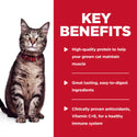 Key benefits