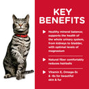 Key benefits