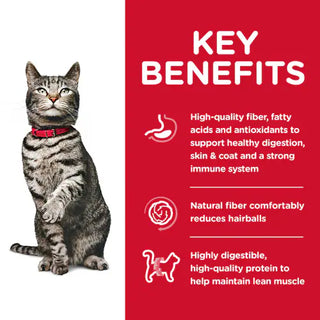 Key benefits