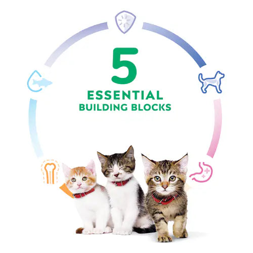 5 essential building blocks