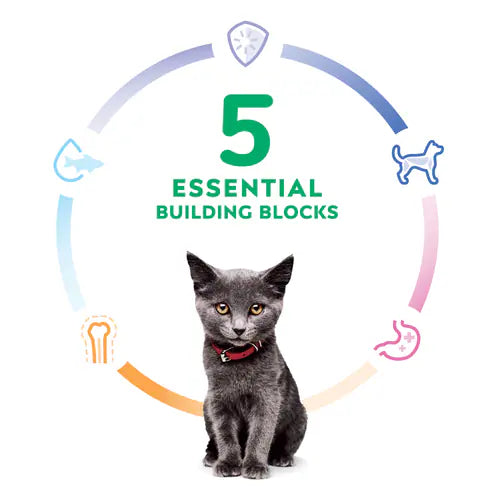 5 essential building blocks