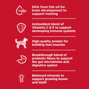 Hill's Science Diet Kitten Indoor Dry Cat Food, Chicken Recipe, 7 lb Bag