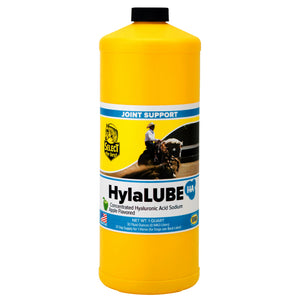 Select The Best HylaLUBE Concentrated Hyaluronic Acid Joint Supplement for Horses - 32-oz - Pet Vitamins & Supplements 1