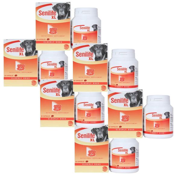 Senilife XL for Elderly Dogs - 180 capsules - Dog Supplements & Vitamins 4