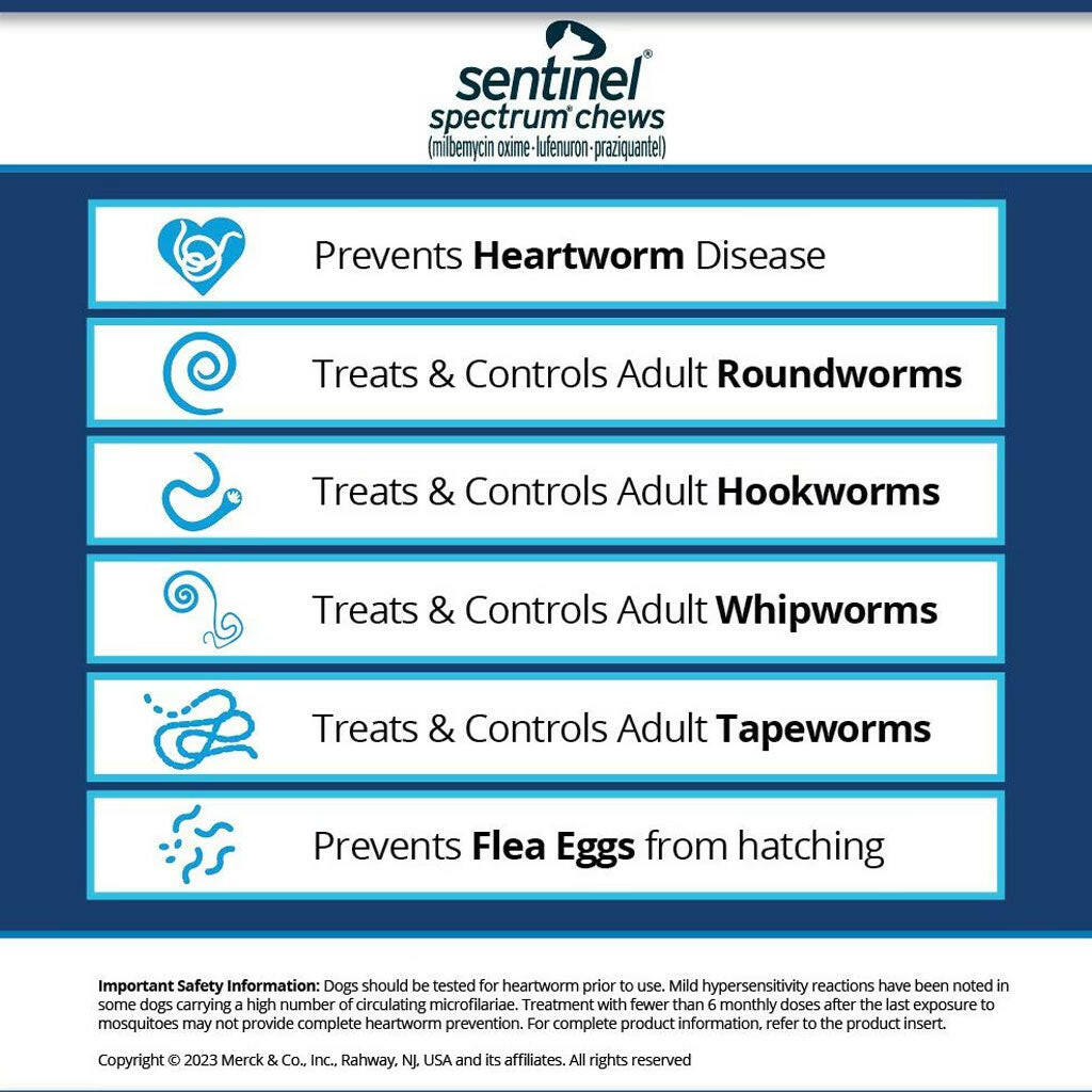Sentinel Spectrum Sentinel Spectrum Chews for Dogs | 50.1-100 lbs | HardyPaw