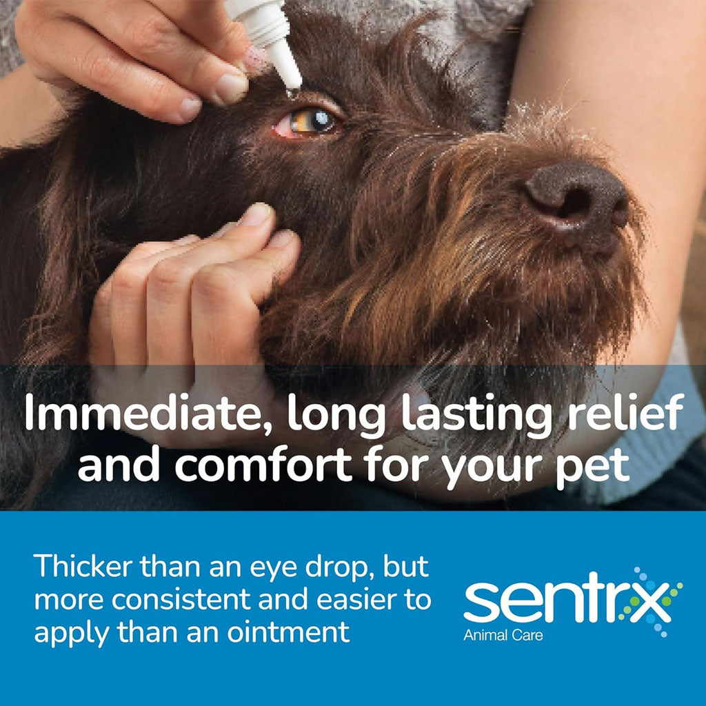 eye lubricant gel for dogs Ocunovis Biohance Gel Eye Drops | PetMart Pharmacy main image 1