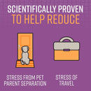 Sentry Behavior Calming Spray for Dogs (1.62 oz)