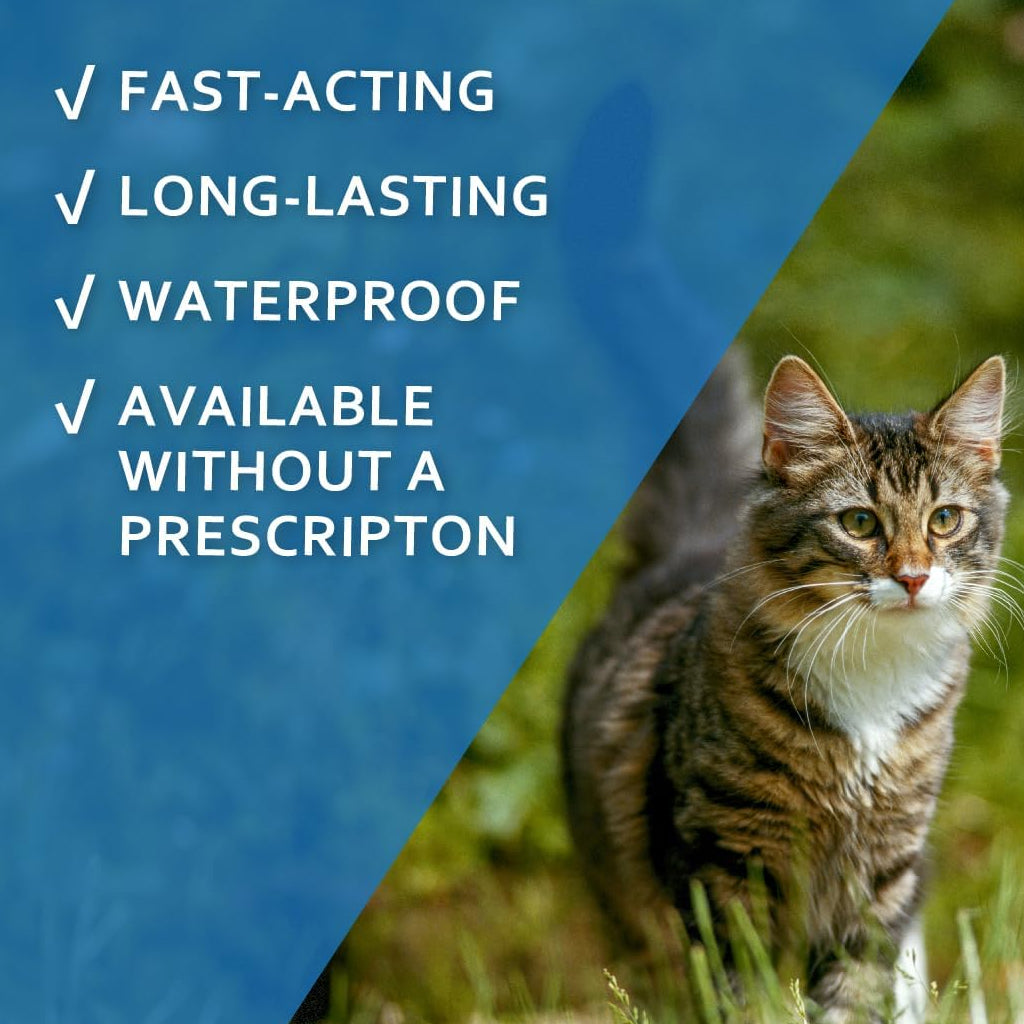 Sentry Fiproguard Plus Topical Flea & Tick Treatment for Cats