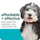 Sergeant's Guardian Flea & Tick Collar for Dogs affordable