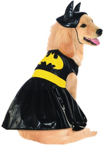Pets DC Universe Batgirl Costume