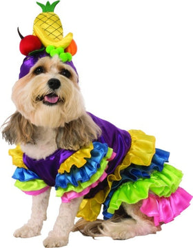 Pets Brazilian Bombshell Carmen Miranda Costume