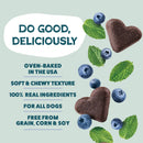 Shameless Pets Blueberried Treasure Soft Baked Treats For Dogs (6 oz) - Dog Treats 7