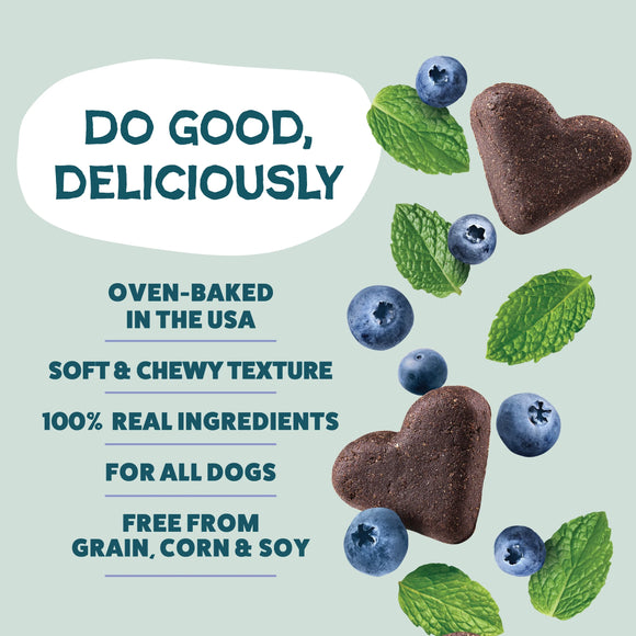 Shameless Pets Blueberried Treasure Soft Baked Treats For Dogs (6 oz) - Dog Treats 7