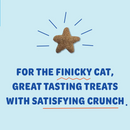 Shameless Pets Catnip Is My Boo Crunchy Treats For Cats (4 oz) - Cat Biscuits & Crunchy Treats 4
