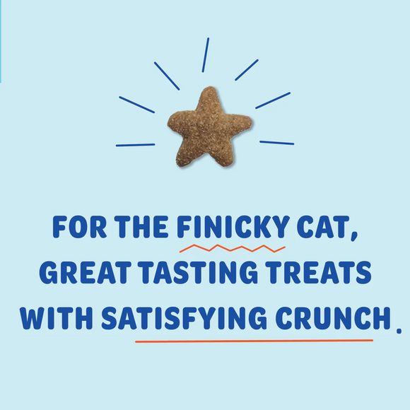 Shameless Pets Catnip Is My Boo Crunchy Treats For Cats (4 oz) - Cat Biscuits & Crunchy Treats 4