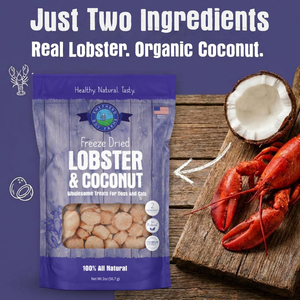 Shepherd Boy Farms Freeze Dried Lobster & Coconut Treats for Dogs & Cats - Dog & Cat Treats 2