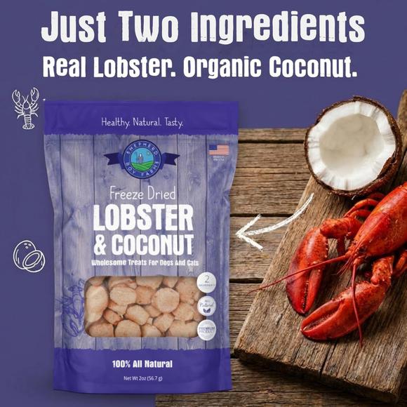 Shepherd Boy Farms Freeze Dried Lobster & Coconut Treats for Dogs & Cats - Dog & Cat Treats 2