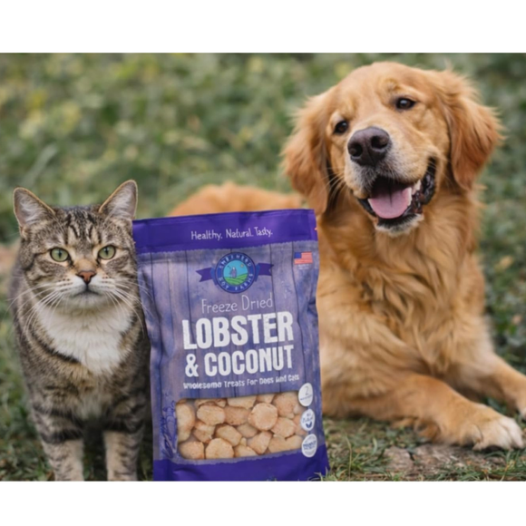 Shepherd Boy Farms Freeze Dried Lobster & Coconut Treats for Dogs & Cats - Dog & Cat Treats 3