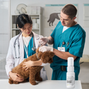 Silvet Spray 25 ml by Nexderma - Pet Supplies 5