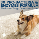 Simple Solution Stain and Odor Remover - Pet Odor & Stain Removers 10