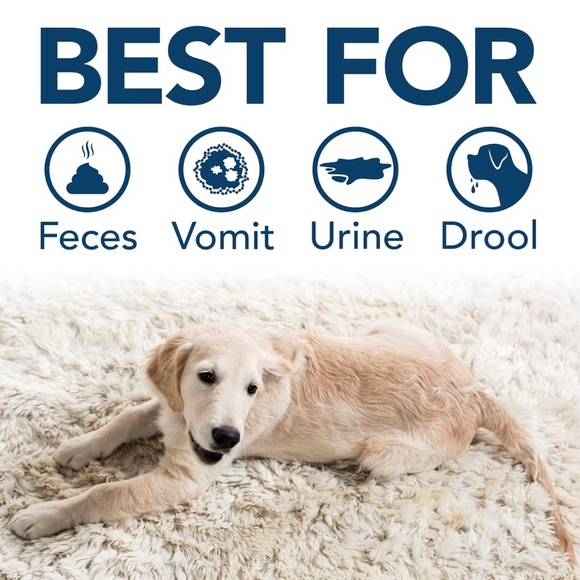 Simple Solution Stain and Odor Remover - Pet Odor & Stain Removers 11
